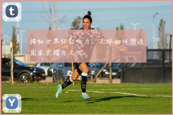 揭秘世界杯影响力：足球如何塑造国家荣耀与文化