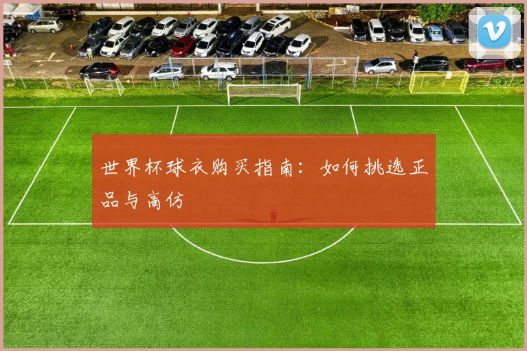 世界杯球衣购买指南:如何挑选正品与高仿